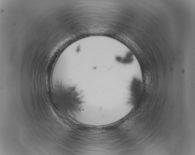 X0000062900684200602101807