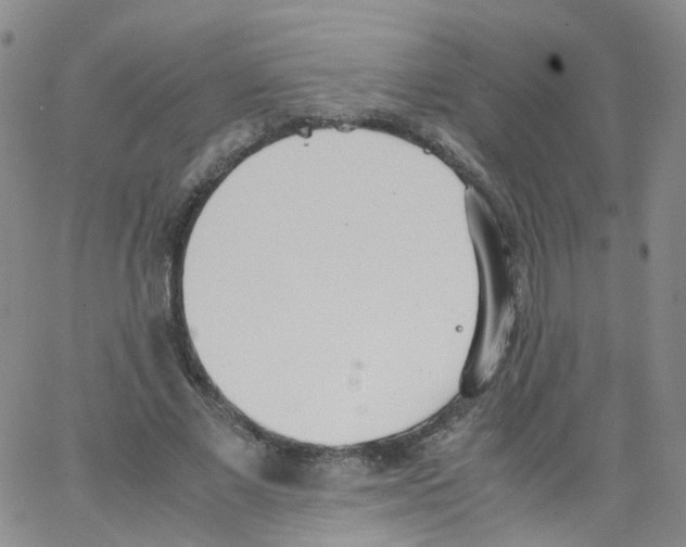 X0000062900685200602101807