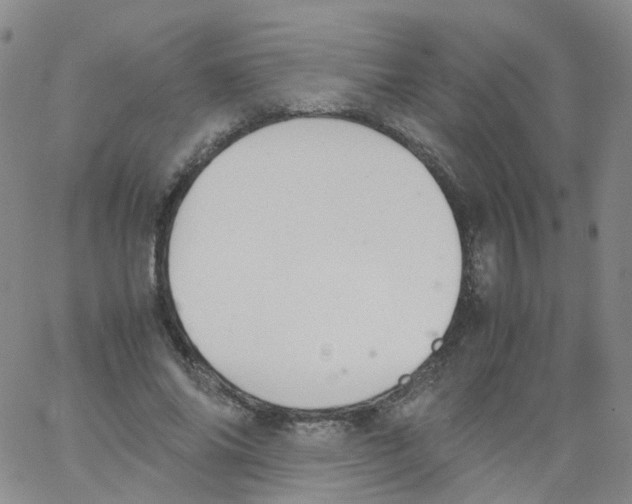 X0000062900686200602101807