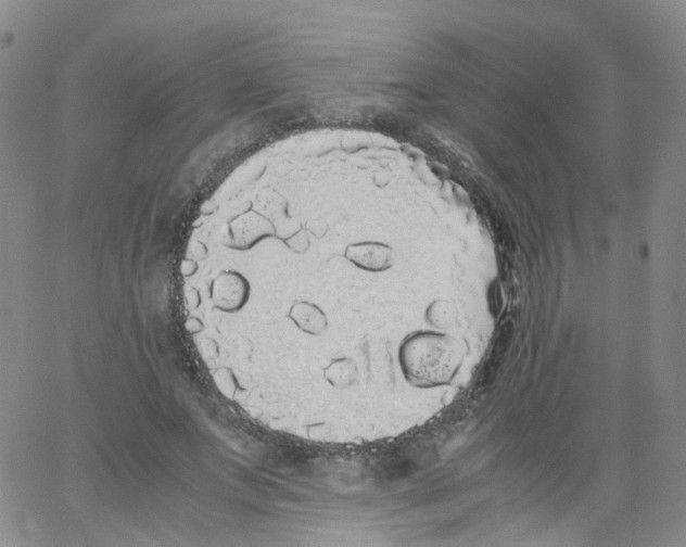 X0000062900687200602101807