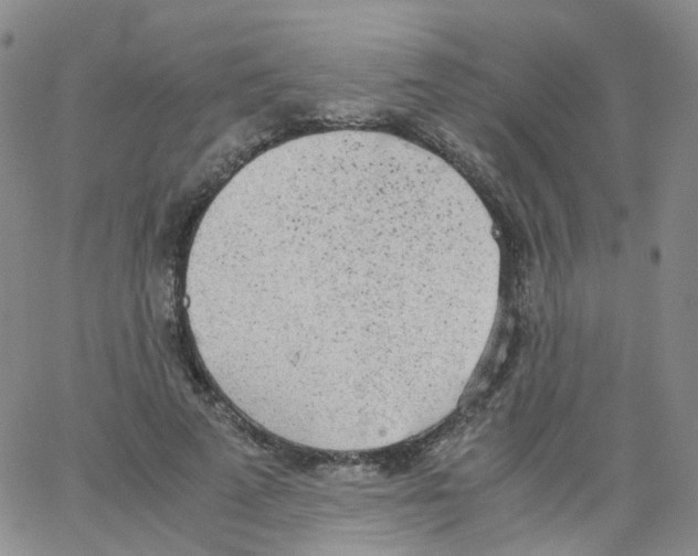 X0000062900689200602101807