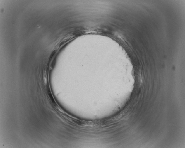 X0000062900691200602101807