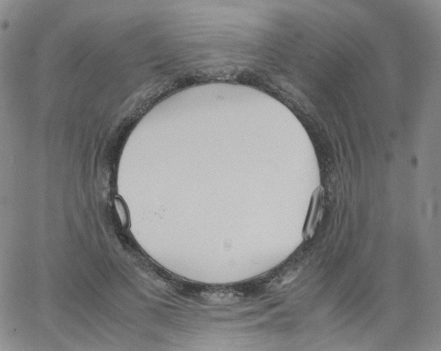 X0000062900693200602101807