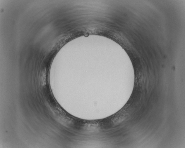 X0000062900694200602101807