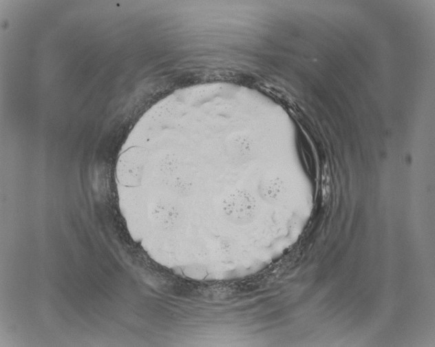 X0000062900695200602101807