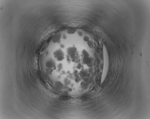 X0000062900696200602101807