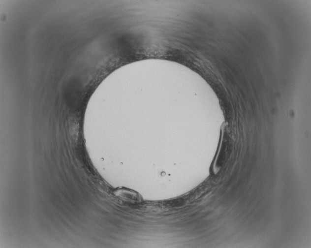 X0000062900697200602101807