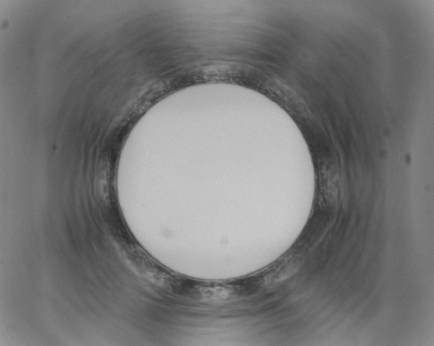 X0000062900698200602101807