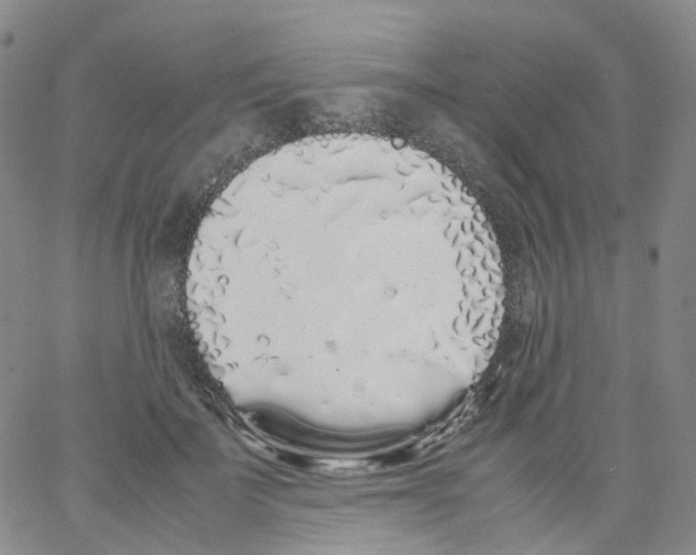 X0000062900699200602101807