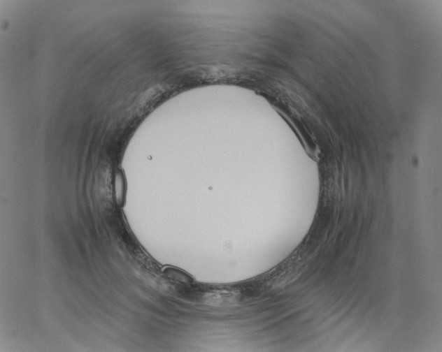 X0000062900700200602101807