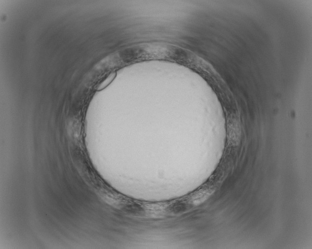 X0000062900701200602101807