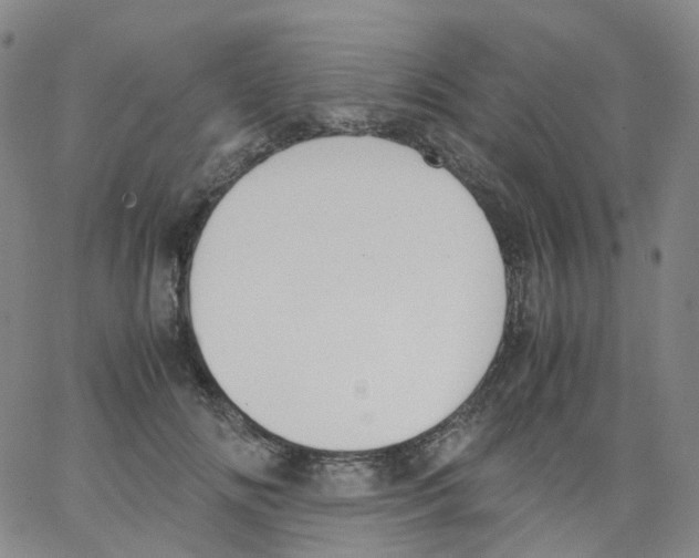 X0000062900702200602101807