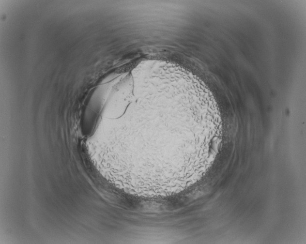 X0000062900703200602101807