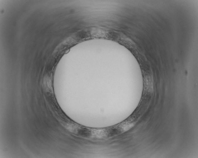 X0000062900705200602101807