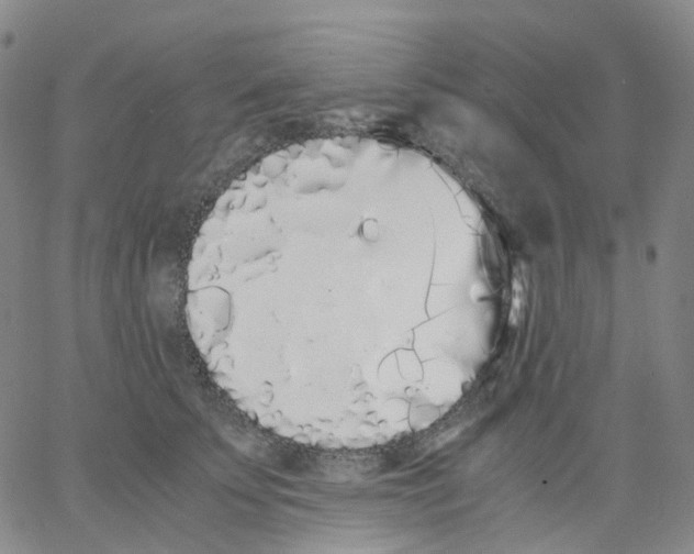 X0000062900707200602101807