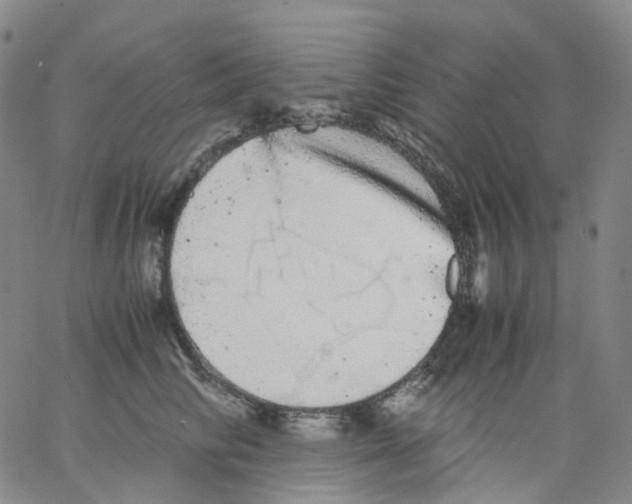 X0000062900710200602101807