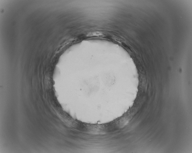 X0000062900711200602101807