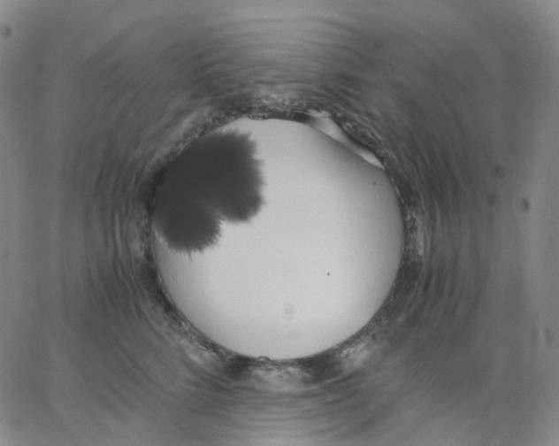 X0000062900712200602101807