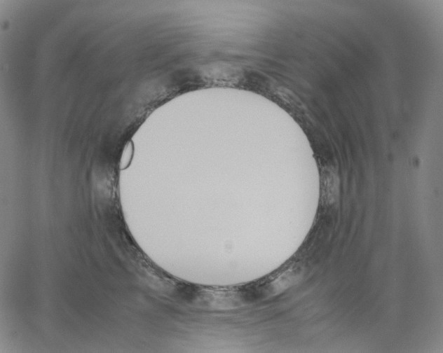 X0000062900713200602101807