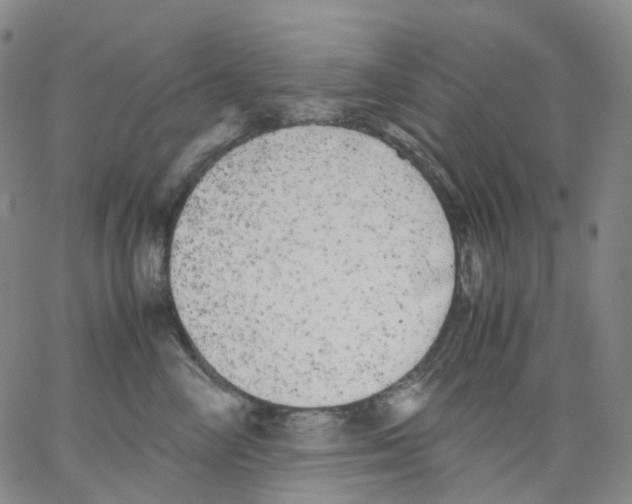 X0000062900714200602101807