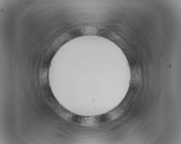 X0000062900717200602101807