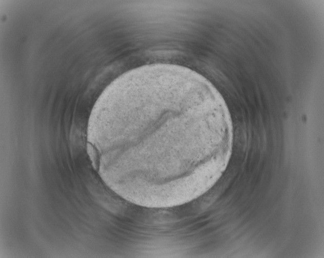 X0000062900718200602101806