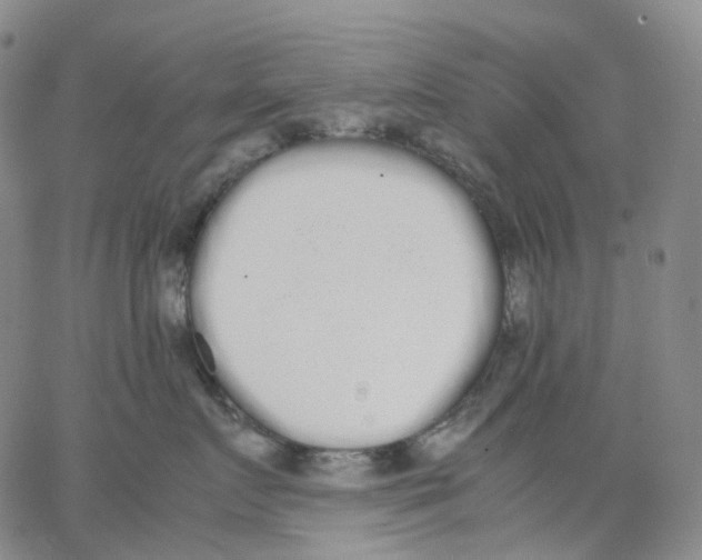 X0000062900719200602101806