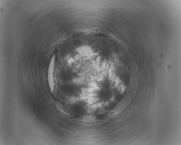 X0000062900720200602101806