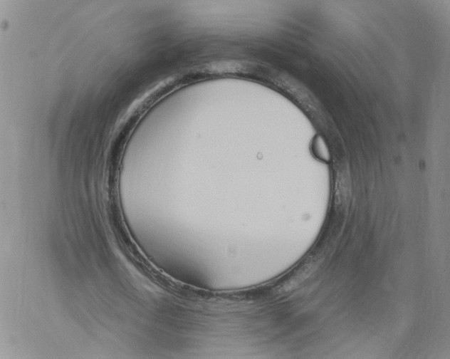 X0000062900722200602101806