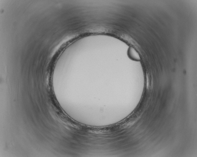 X0000062900723200602101806