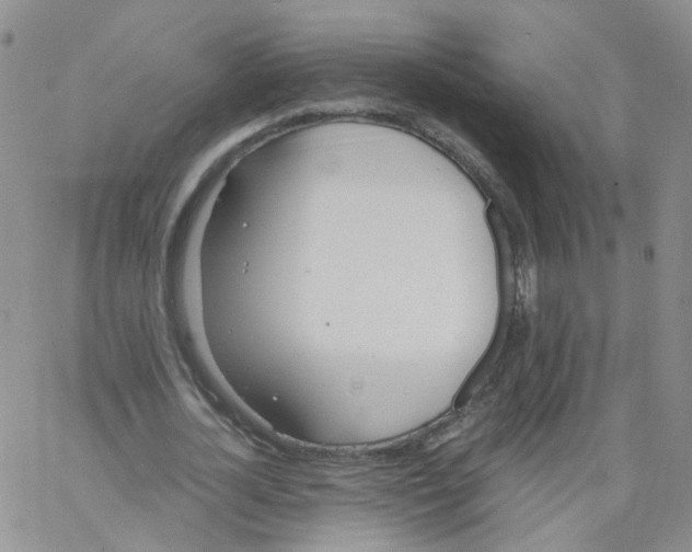 X0000062900724200602101806