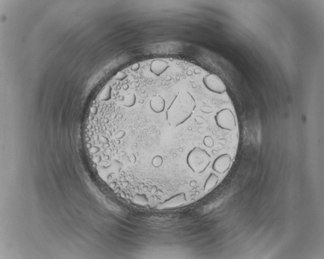 X0000062900725200602101806