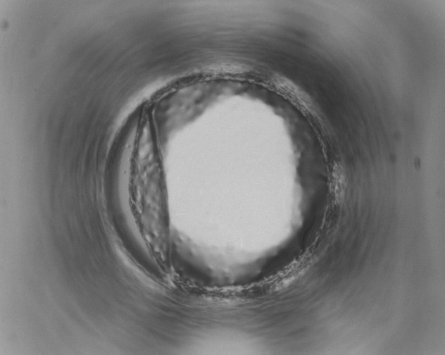 X0000062900726200602101806