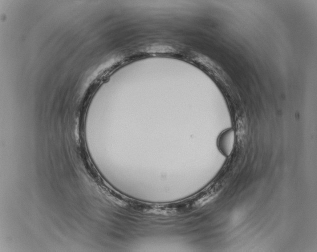 X0000062900727200602101806