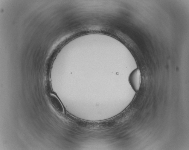 X0000062900728200602101806