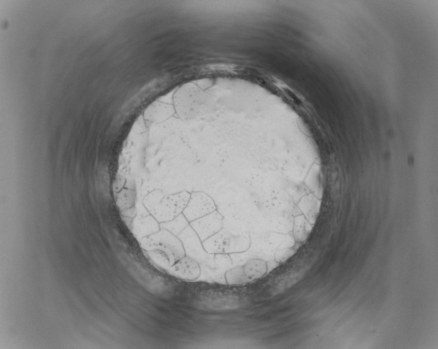 X0000062900729200602101806