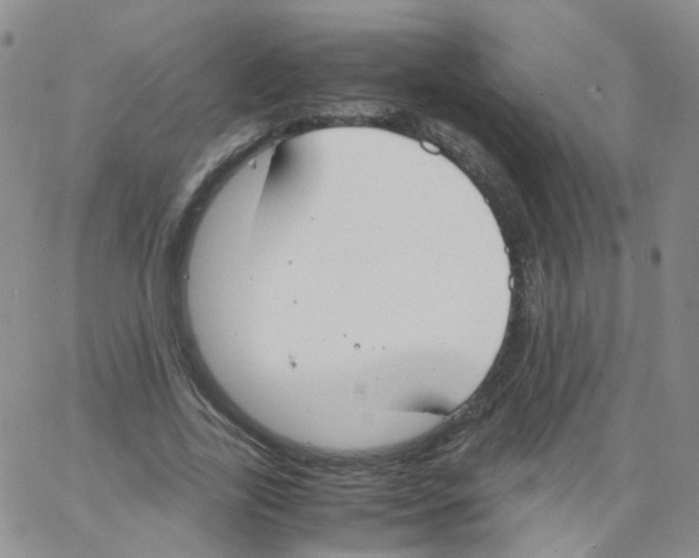 X0000062900731200602101806