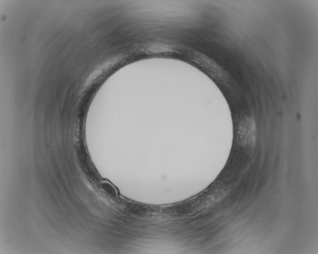 X0000062900732200602101806