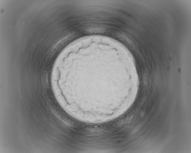 X0000062900733200602101806