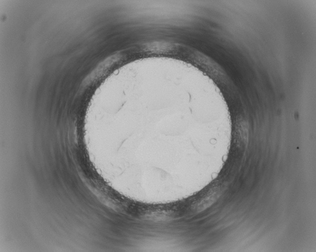 X0000062900734200602101806