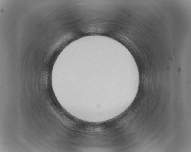 X0000062900735200602101806