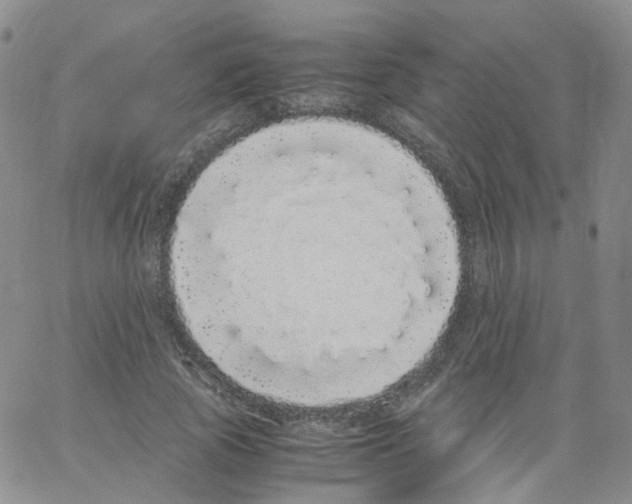 X0000062900737200602101806