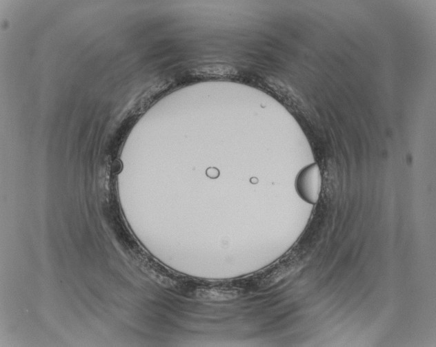 X0000062900739200602101806