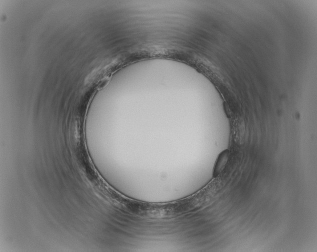 X0000062900740200602101806