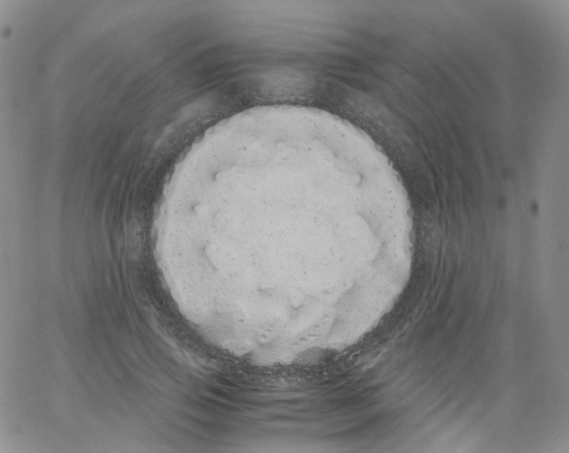 X0000062900741200602101806