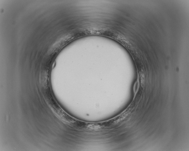 X0000062900742200602101806