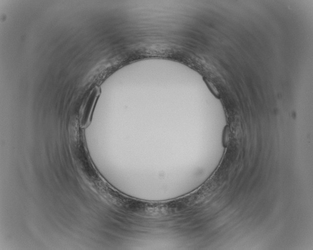 X0000062900744200602101806