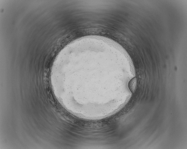 X0000062900745200602101806