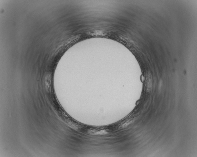 X0000062900747200602101806