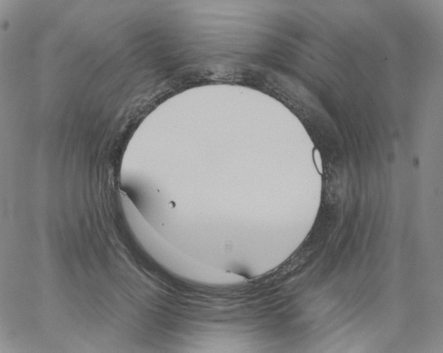 X0000062900748200602101806